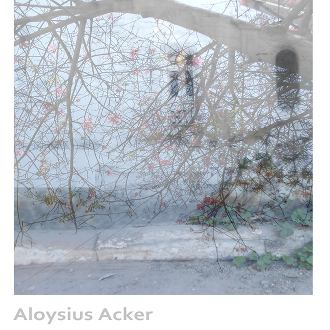 Aloysius Acker