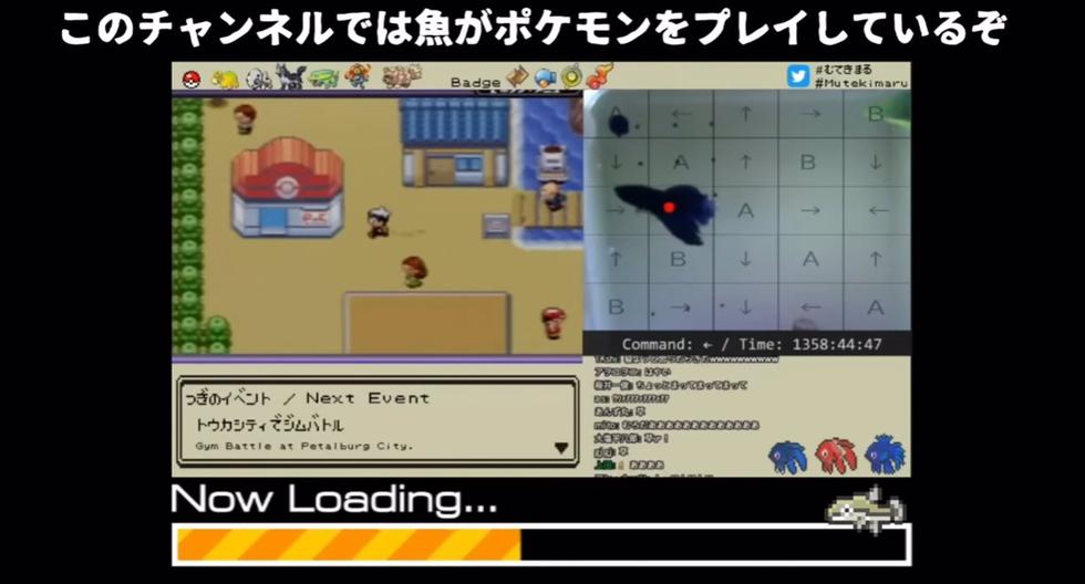 Pet fish filters bank data of Japanese YouTuber while playing Pokémon on Nintendo Switch.