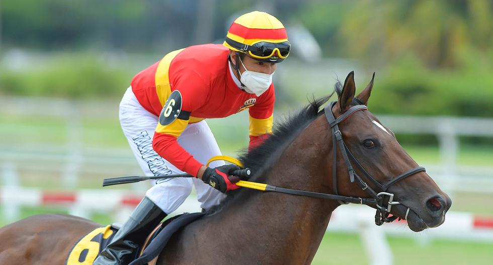 En honor a la independencia del Perú: se dará el Clásico Independencia 2022 en el Jockey Club con Edwin Talaverano