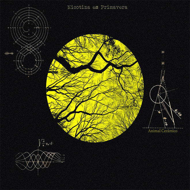 nicotina-es-primavera