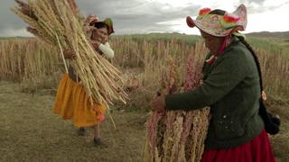 Mujeres rurales: las manos que alimentan al mundo