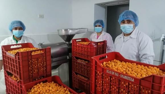 Se inició la primera exportación de pulpa congelada de aguaymanto a Suiza. (Foto: Gobierno Regional Huánuco)