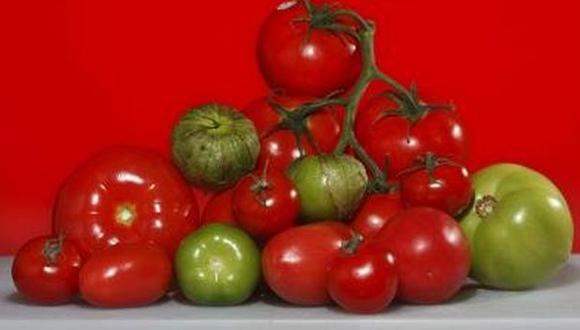 Estudian métodos para cultivar tomates en el espacio