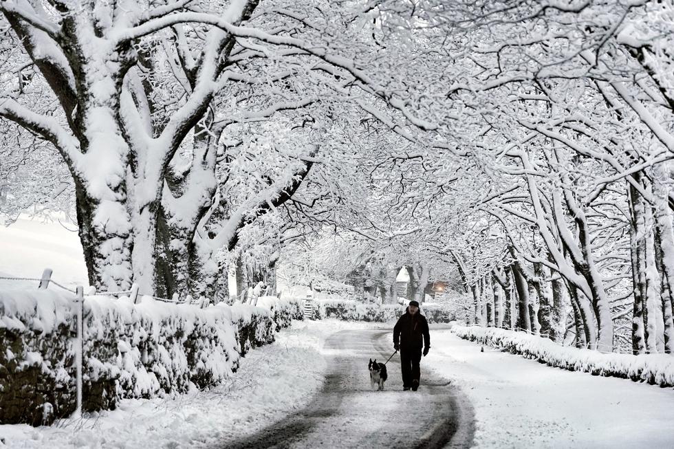 Un hombre camina con su perro después de la primera nevada de la temporada, en Carrshield, cerca de Hexham en Northumberland, Inglaterra. Los meteorólogos advierten que podría haber más nieve y tiempo helado en camino. (Foto: Owen Humphreys/ vía AP)
