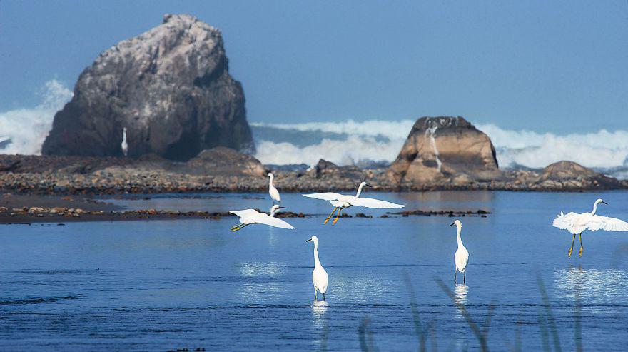 San Fernando tiene una extensión de 154 mil hectáreas. Además de playas y lomas, alberga al Huasipara (1.790 m.s.n.m.), el cerro más alto de la costa