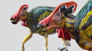 Descubren nueva especie de dinosaurio que emitía fuertes sonidos para espantar a los carnívoros