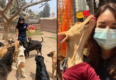 WUF reactiva las visitas solidarias a 7 albergues de perros en Lima