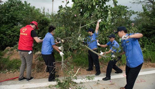 La limpieza se intensificó el lunes. Los hongkoneses tenían dificultades para llegar a sus trabajos en medio de las calles repletas de ramas, árboles y escombros, algunos incluso llenas de lodo o aún inundadas. (Foto: AFP)
