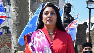 Diputada británica afirma que fue destituida del gobierno por ser musulmana
