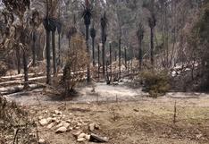 Incendios en Chile: ocho de las 400 hectáreas del Jardín Botánico Nacional son las únicas sin daños