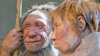 Hallan restos del primer humano nacido de dos especies distintas