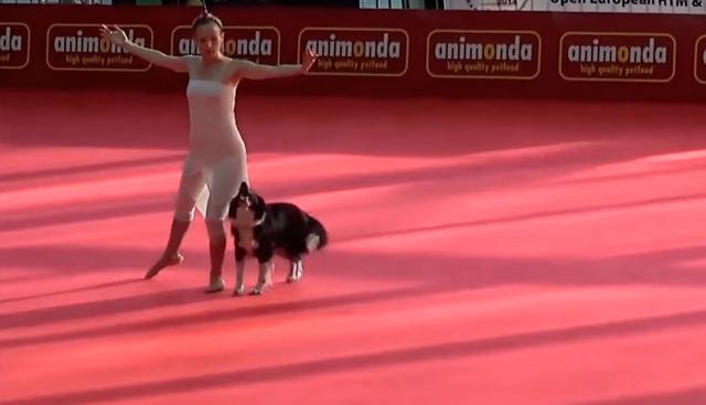 Una mujer y su perro sorprenden en un concurso de baile con impresionantes movimientos. (Foto: YouTube/captura)