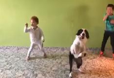 El baile de unos niños con su mascota se viraliza en las redes sociales