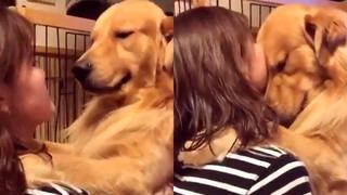 Mira la adorable reacción de un perrito con su nueva familia tras ser adoptado