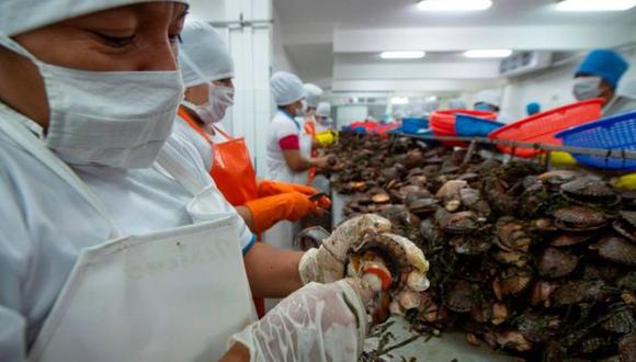 La exportación de marisco y pescado supone una buena fuente de ingresos para Perú.
