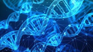 ¿Está la ciencia lista para la modificación genética de embriones humanos? 