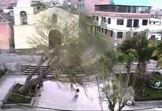 Ayacucho: fuertes vientos provocan caída de un árbol en plazoleta de Huamanga | VIDEO