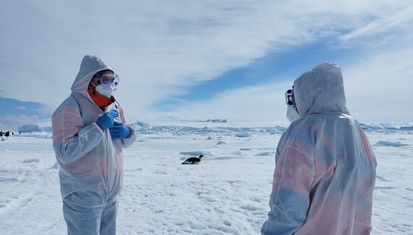 Expedición Científica Antártica (ECA 60), organizada por el Instituto Chileno Antártico (INACH) Foto: Instituto Milenio BASE