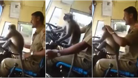YouTube: Chofer de bus que dejó "manejar" a mono fue suspendido en India (Captura de video)