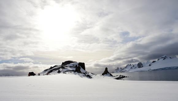 View of Half Moon island, Antarctica on November 09, 2019. (Photo by Johan ORDONEZ / AFP)