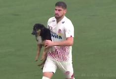 UTC vs. Sporting Cristal: un perrito entró a la cancha durante el partido por la Liga 1 