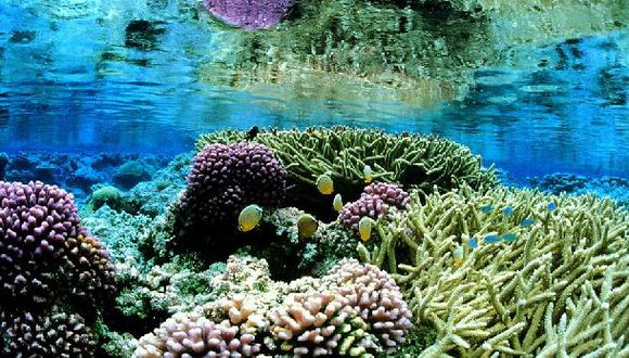 Los océanos tienen tres veces más tipos de virus de lo pensado