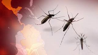 ¿Qué es el virus zika y por qué tiene alerta a América Latina?