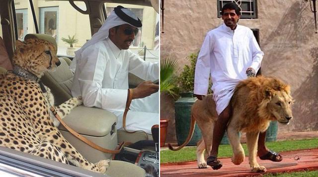 Entre oro y fieras, la vida de los millonarios en Dubai - 1