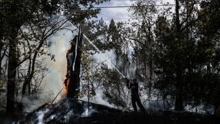 España: controlan gran incendio que arrasó miles de hectáreas en Extremadura
