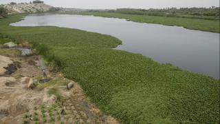 Declaran de interés nacional descontaminación de ríos del norte
