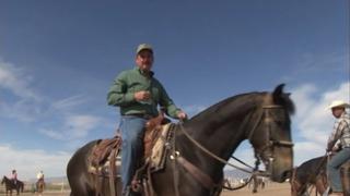 EE.UU.: patrulla a caballo aún vigila la frontera tras 90 años