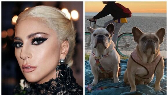 La mujer que devolvió los perros a Lady Gaga no ha cobrado el dinero de la recompensa. (Foto: Instagram)