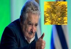 Uruguay: Inusual homenaje a José Mujica con semilla de marihuana