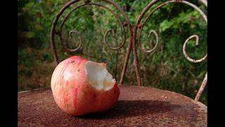 EE.UU. aprueba manzana transgénica que no se torna marrón