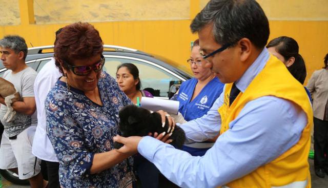 La campaña de la Municipalidad de Lima estipula que las personas que lograron adoptar a los animales firmen un documento en el que se comprometen a permitir que los veterinarios de la Municipalidad de Lima ingresen a sus viviendas a constatar el estado de salud de las mascotas, así como cumplir con el cronograma de vacunas. (Difusión)