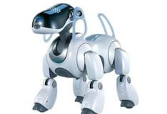 Sony volverá a lanzar un nuevo robot mascota 12 años después 