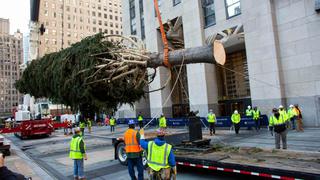 Tradicional árbol navideño del Rockefeller Center llega a Nueva York | FOTOS