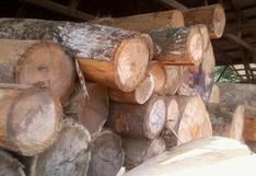 Sector forestal: ¿qué barreras existen para la legalidad del aprovechamiento de recursos maderables?