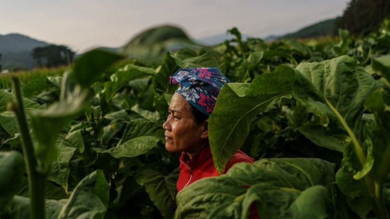 While South Korean authorities have passed labor protection laws in the past two decades, conditions can still be dire for migrant workers, according to human rights groups.  (GETTY IMAGES).