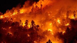 Crece un incendio forestal en California en medio de temperaturas extremas