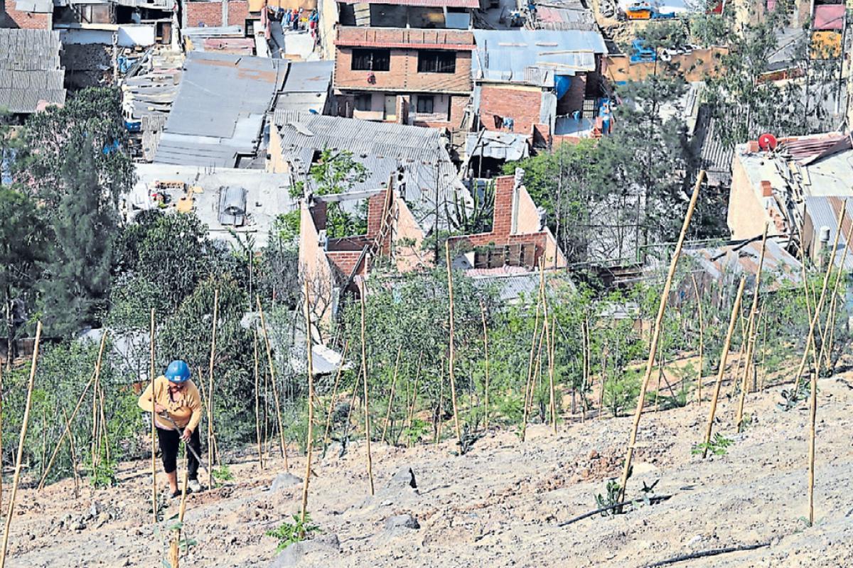 Riesgo País: el proyecto que intenta evitar derrumbes en cerros habitados |  LIMA | EL COMERCIO PERÚ