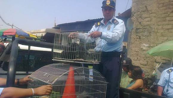 Trujillo: rescatan 28 perros y gatos en exteriores de mercado