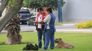 MTPE aprueba modelo referencial de contrato y boleta de pago para trabajadoras del hogar