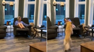 Perro salta hacia su dueña para ser el centro de atención y momento genera risas en usuarios