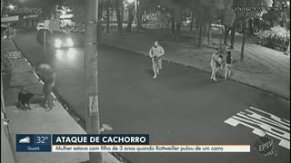 Brasil: rottweiler salta de un auto en movimiento y ataca a familia que paseaba con su perro | VIDEO