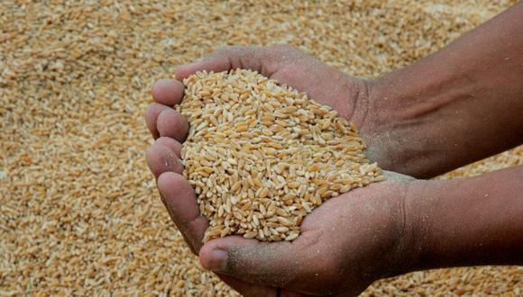 El trigo subía por tercer día, escalando su mayor nivel en más de nueve años, mientras que el maíz avanzaba a un máximo de ocho meses. (Foto: AFP)