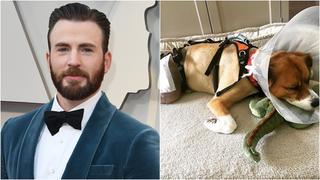 Instagram | Chris Evans causó alarma al compartir esta foto de su mascota