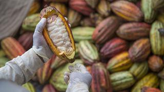 Q’uma, la marca de chocolate orgánico que da trabajo a pequeños agricultores y los ayuda a emprender   