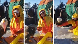 Pescador se hace amigo de águila calva que quiso robarle sus pescados