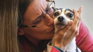 La historia de ‘Dutchess’, una perrita perdida que se reencontró con su dueña más de una década después